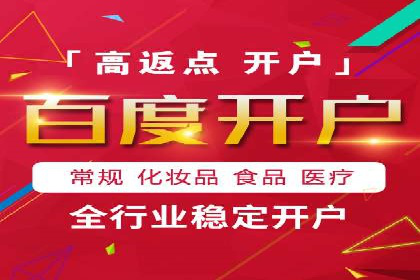 行业领先的SEM投放效果案例解析